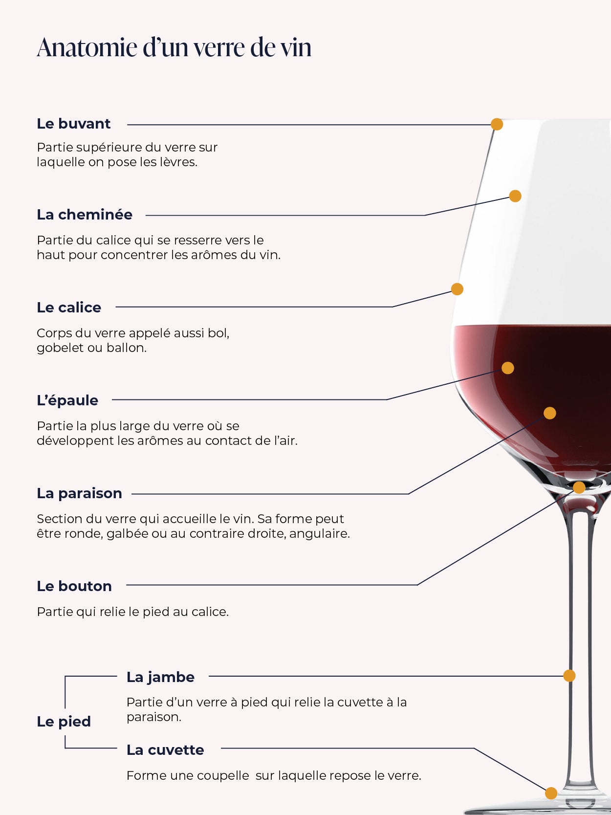 Nos astuces pour bien laver vos verres à vin - Blog Les Grappes